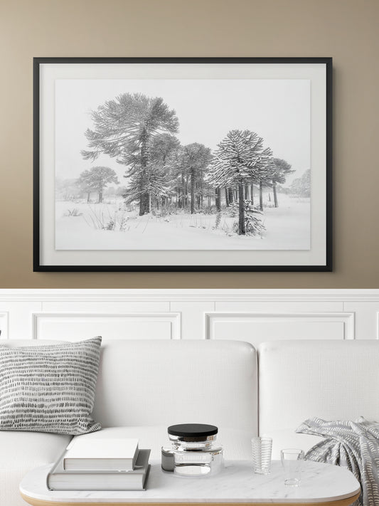Estandartes del Viento y la Nieve - Foto de Andel Paulmann M.