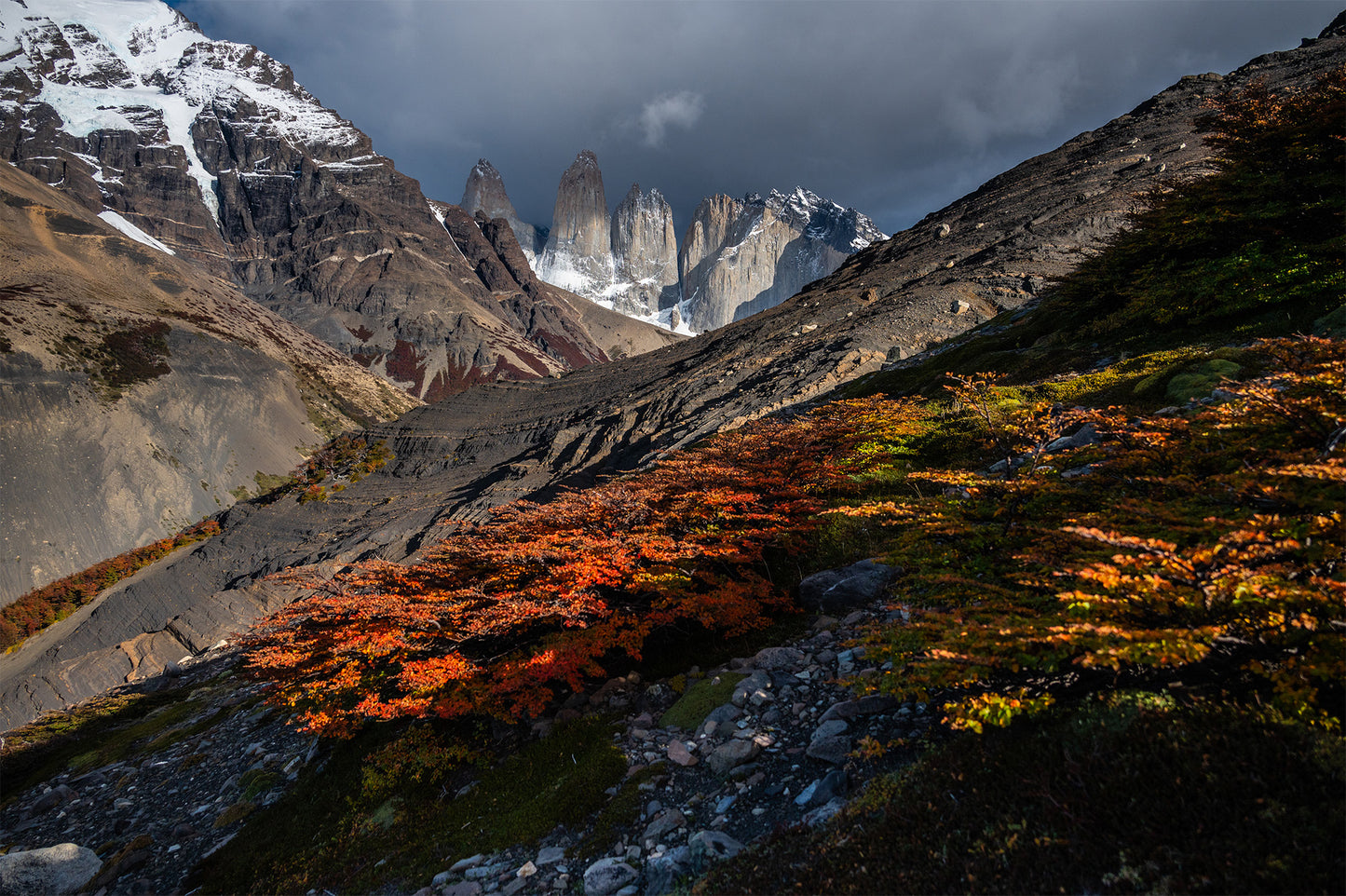 Cerro Paine otoñal - Foto de Timothy Dhalleine