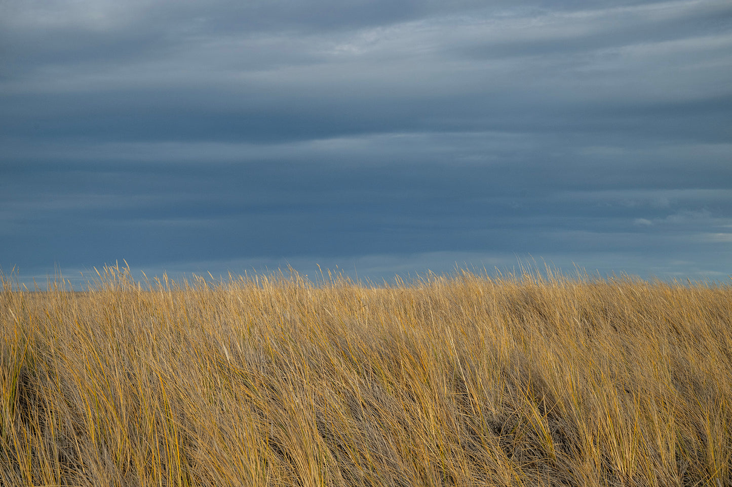 Punta Dungenes 2 - Foto de Guy Wenborne H.