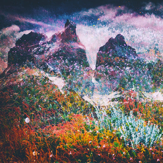 Francisco Negroni - Patagoniart 1