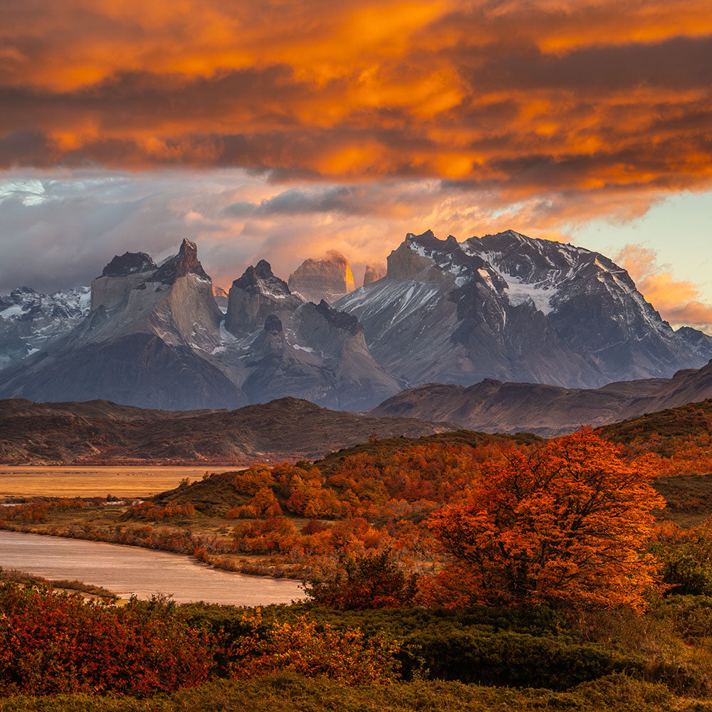 Timothy Dhalleine - Otoño en los Cuernos