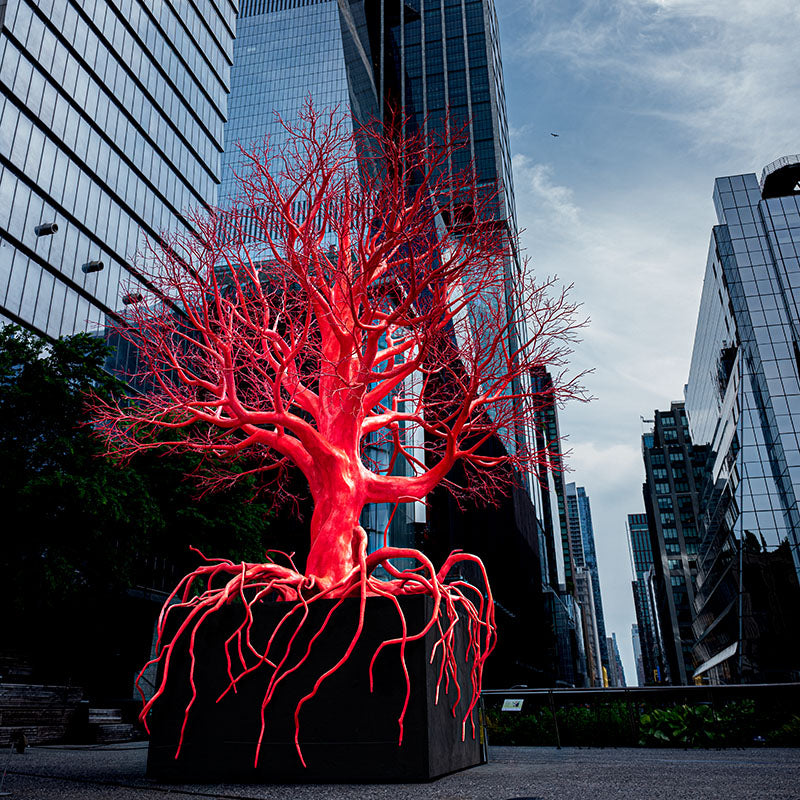 JE Barros - Tree in Red