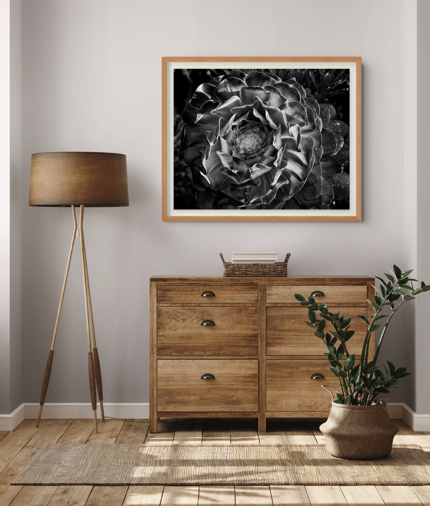 Planta Ancestral - Foto de Cote Baeza