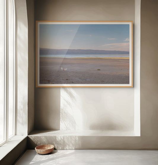 Salar de Huasco 3 - Foto de Guy Wenborne H.