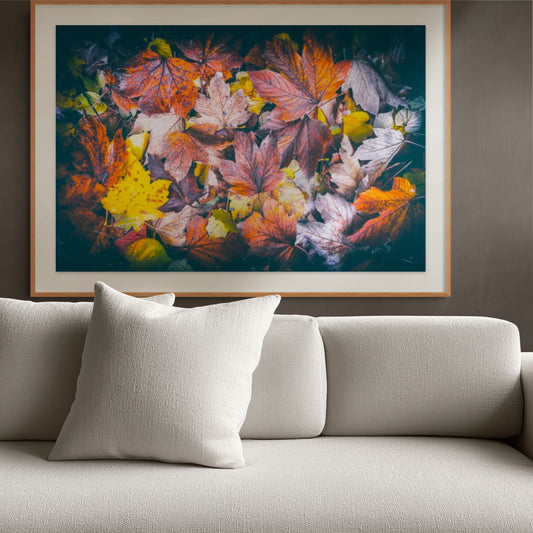 Hojas de Otoño - Foto de Francisco Negroni