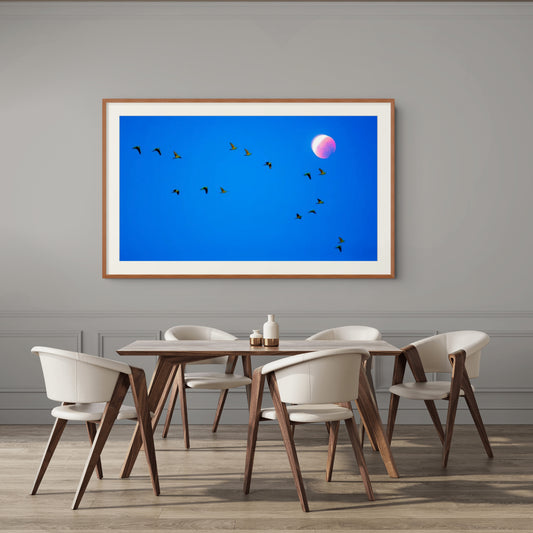 Superposición Fotográfica, Loros y Eclipse - Foto de Francisco Negroni