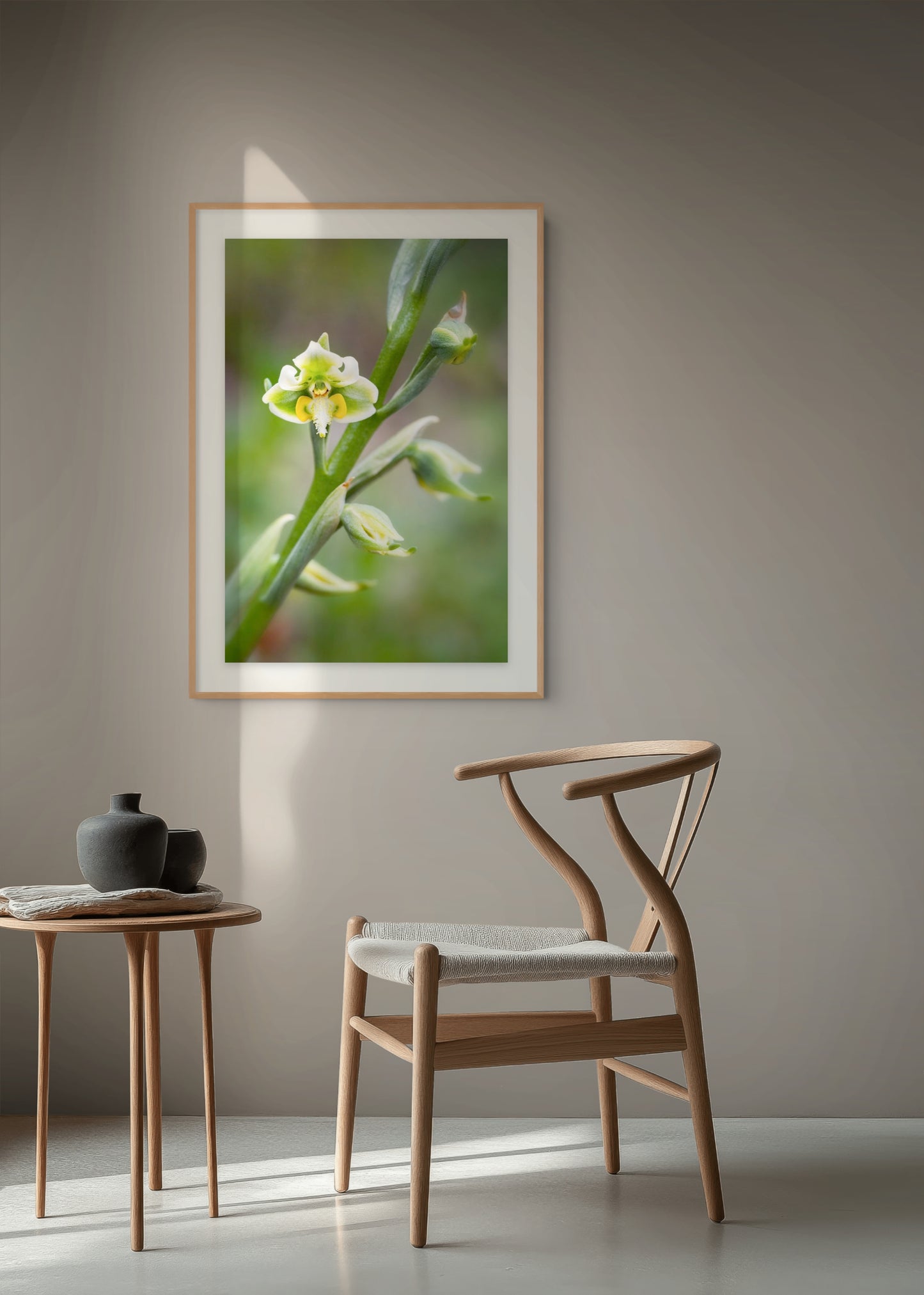 Orquídea Nativa - Foto de Andel Paulmann M.