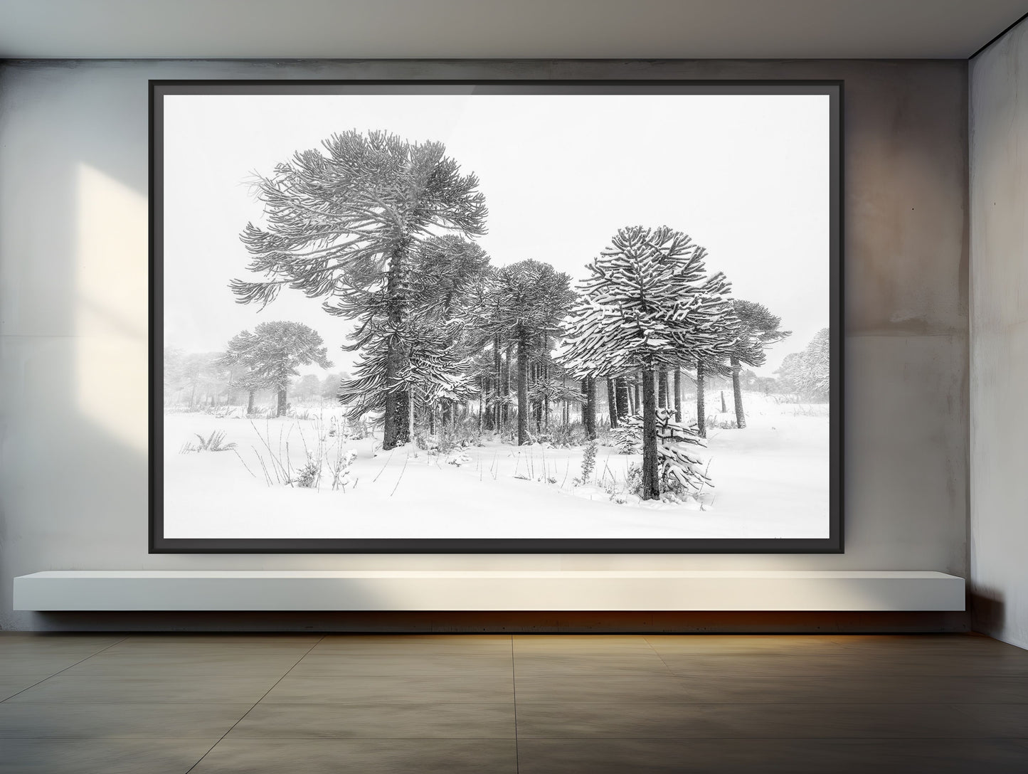 Estandartes del Viento y la Nieve - Foto de Andel Paulmann M.