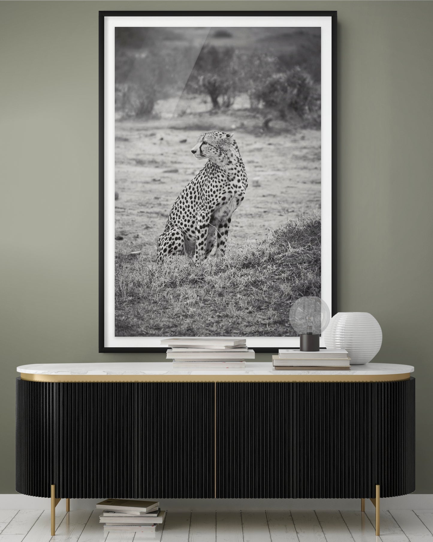 Cheetah - Foto de Tomás Krumm