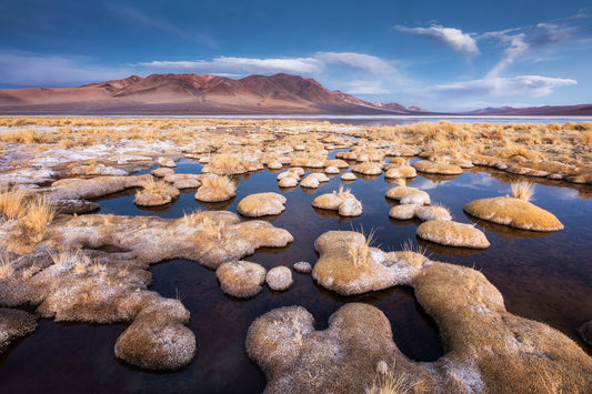 En tierras blancas de sed - Foto de Andel Paulmann M.