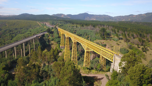 Viaducto del Malleco 1 - Foto de Sebastian Bennett