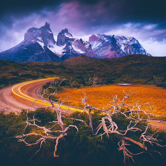 Francisco Negroni - Descubre Patagonia