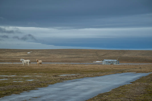 Estancia Ci Ayke 2 - Foto de Guy Wenborne H.