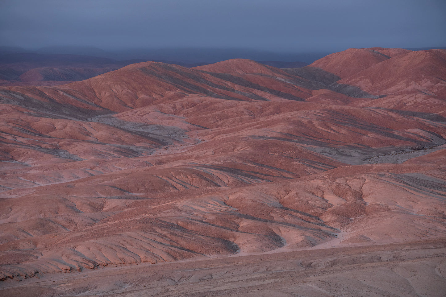 Pampa Churica - Foto de Guy Wenborne H.