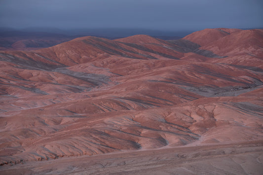 Pampa Churica - Foto de Guy Wenborne H.