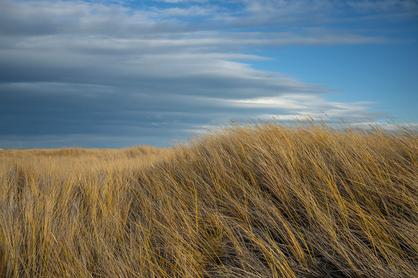 Punta Dungenes 1 - Foto de Guy Wenborne H.