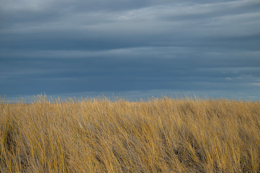 Punta Dungenes 2 - Foto de Guy Wenborne H.