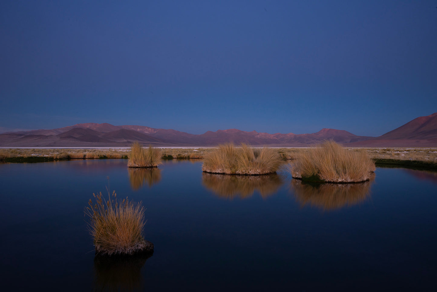 Salar de Huasco 1 - Foto de Guy Wenborne H.