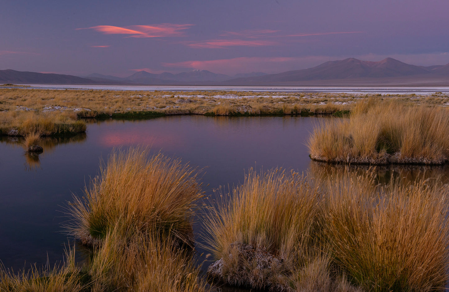 Salar de Huasco 2 - Foto de Guy Wenborne H.