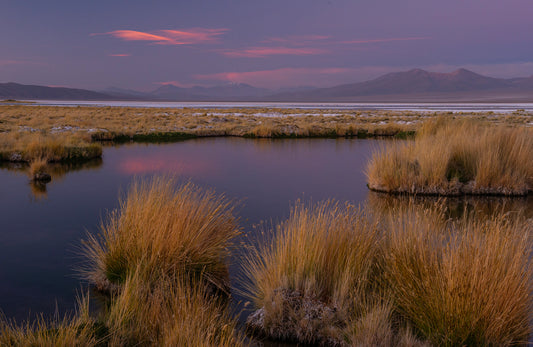 Salar de Huasco 2 - Foto de Guy Wenborne H.