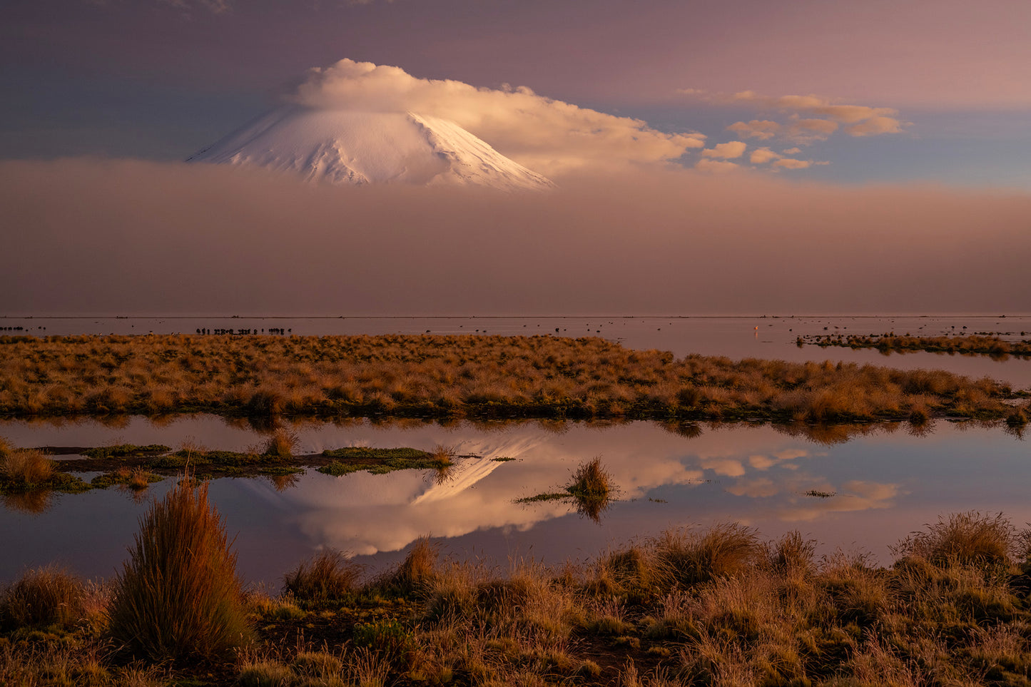 Volcán Parinacota - Foto de Guy Wenborne H.