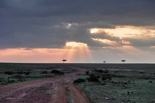 Masai Mara - Foto de Tomás Krumm