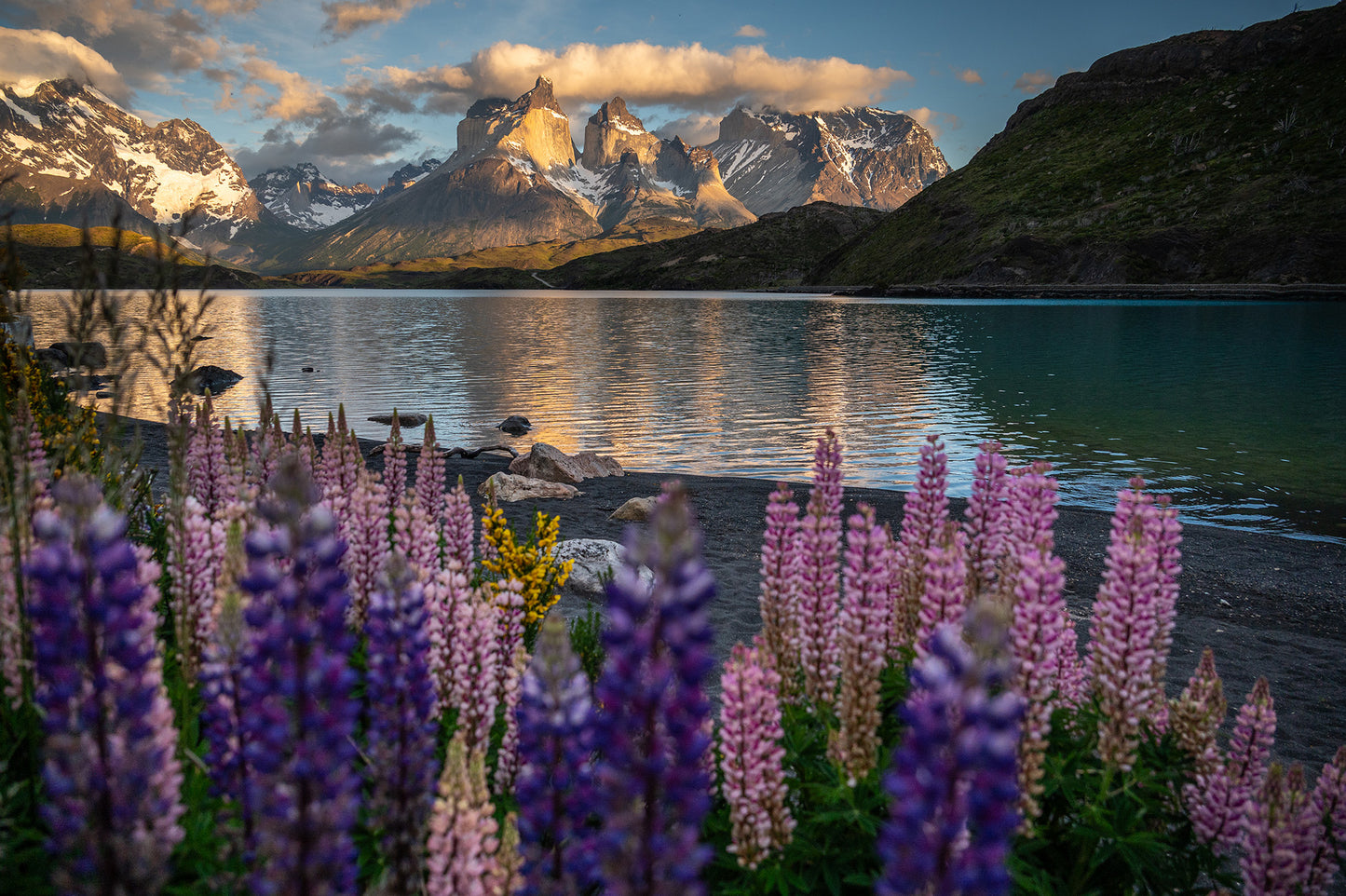 Pehoe primaveral - Foto de Timothy Dhalleine