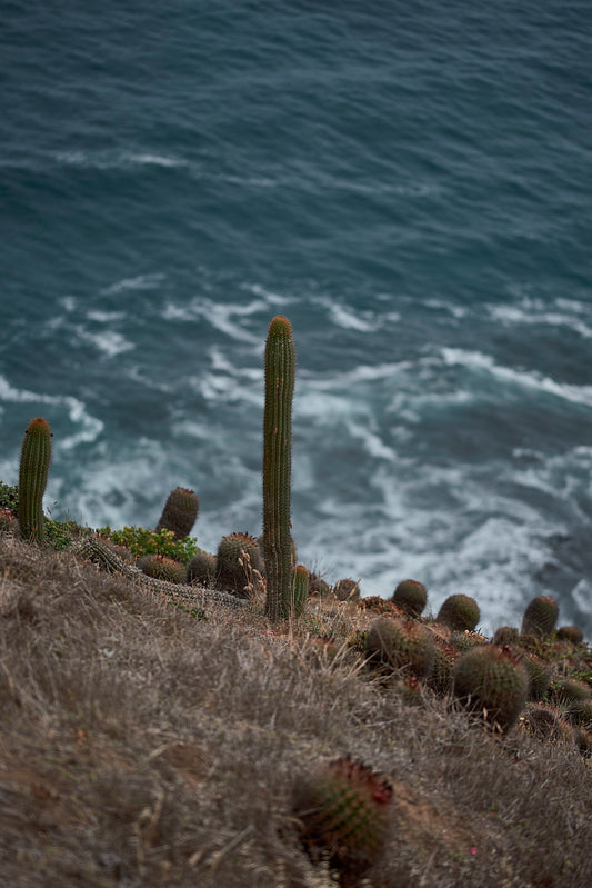 Puertecillo - Foto de Tomás Krumm