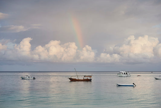 Rainbow - Foto de Tomás Krumm