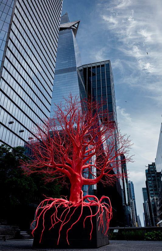 The Tree in Red - Foto de Juan Enrique Barros