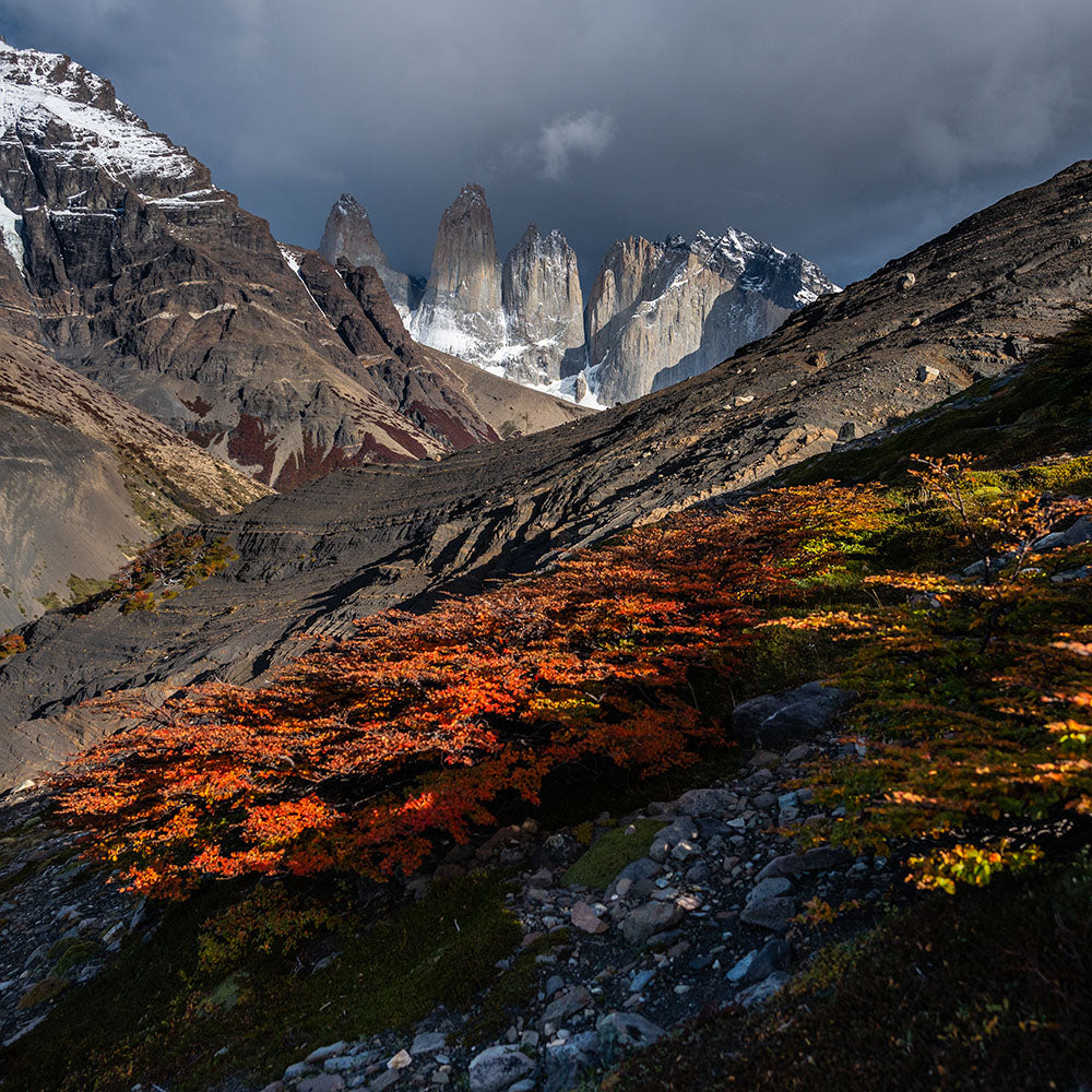 Timothy Dhalleine - Cerro Paine Otoñal
