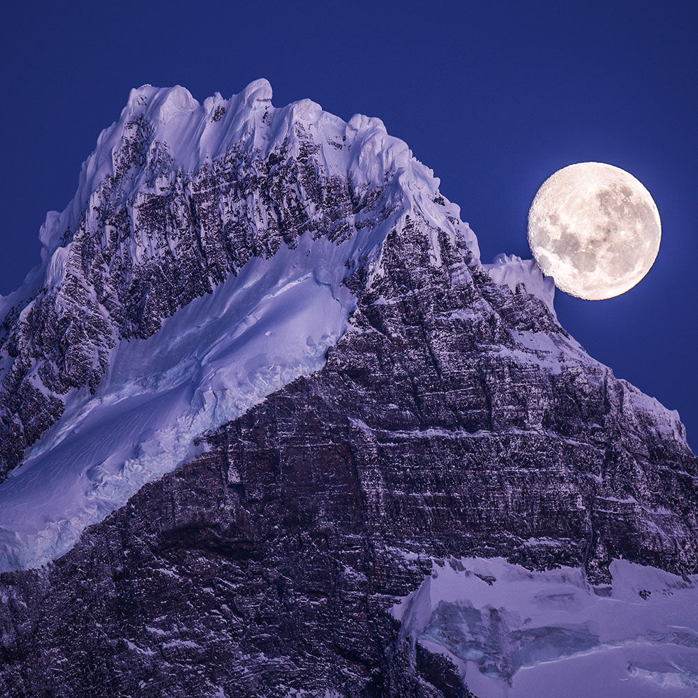 Timothy Dhalleine - Ice Moon