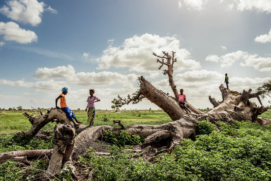 Senegal - Foto de Tomás Munita