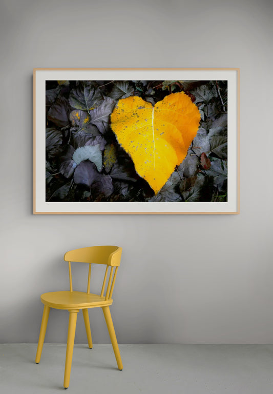 Corazón de Otoño - Foto de Francisco Negroni