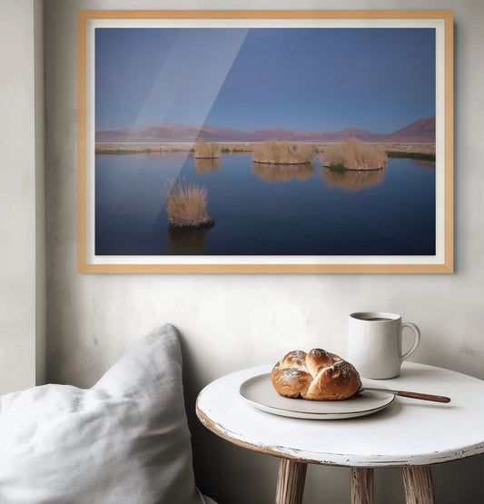 Salar de Huasco 1 - Foto de Guy Wenborne H.