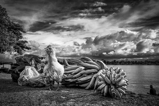 El Almuerzo Amazonia Colombiano - Foto de Cote Baeza