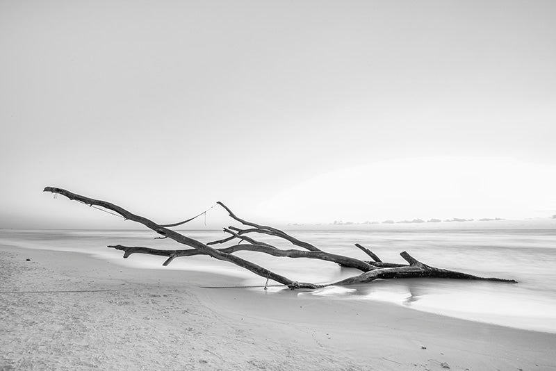El descanso en Tulum - Foto de Cote Baeza