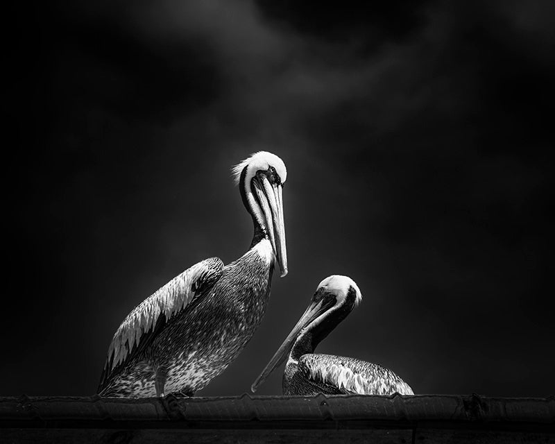 La conversacion - Foto de Cote Baeza