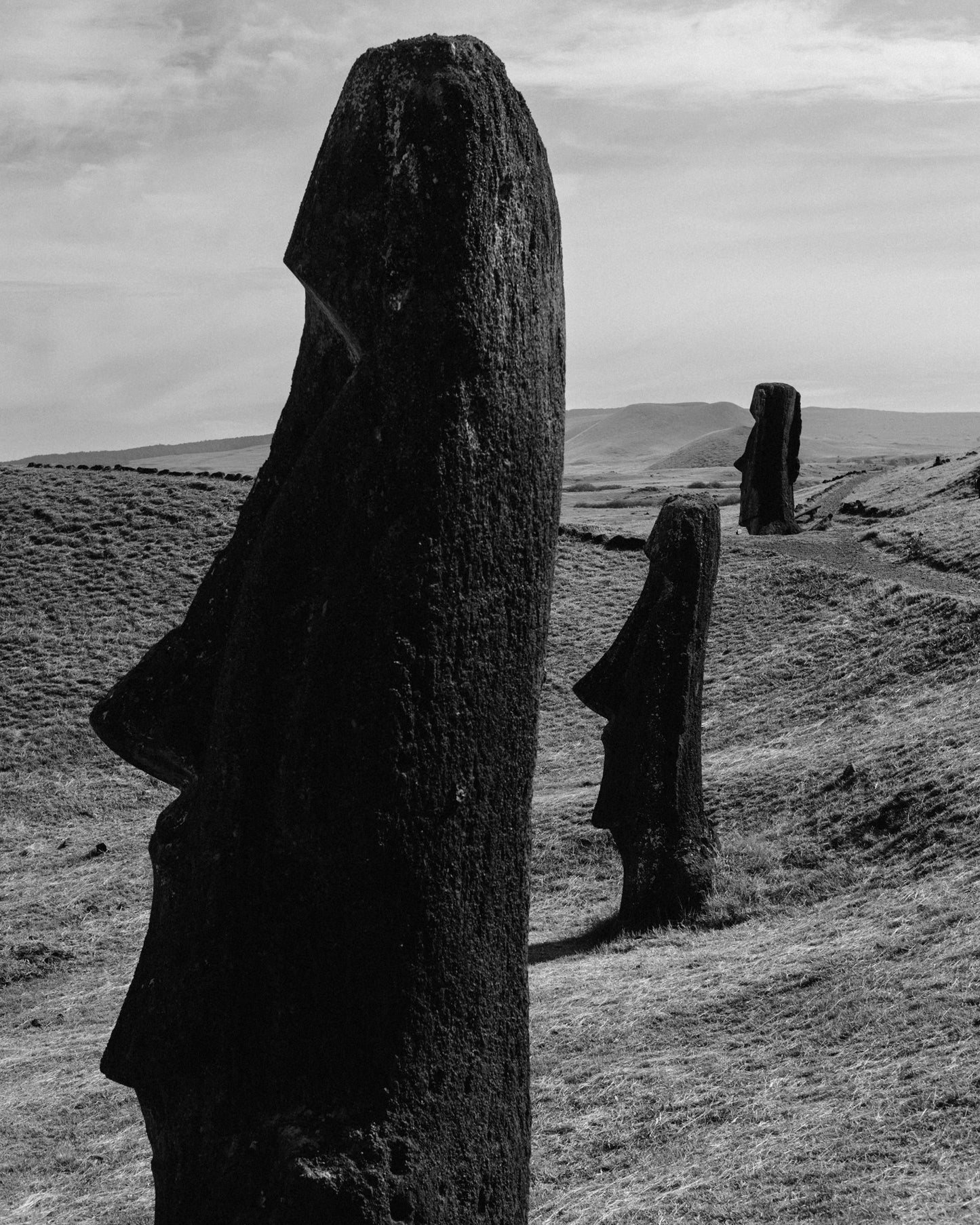 Moai - Foto de Pablo Wilson L.